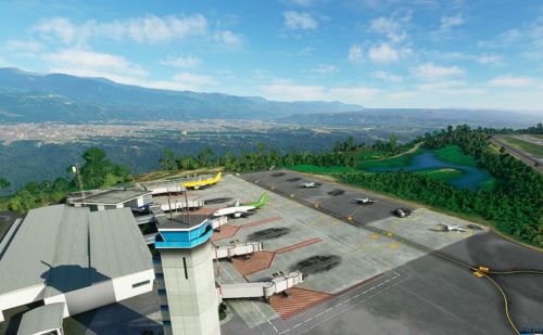 Palonegro Airport